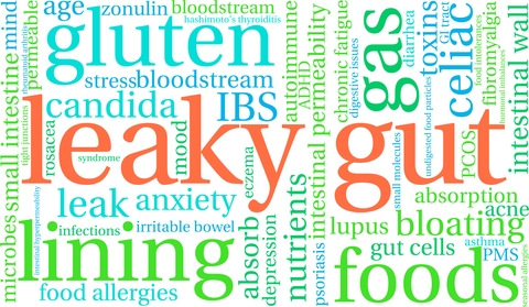 Assessing for a leaky gut