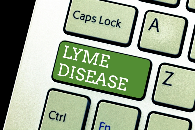 Lyme and Immune Protocols for the Kinesiologist and Muscle Response Tester