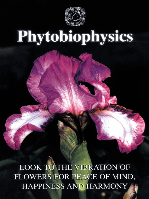 Institute of Phytobiophysics: Introductory Course