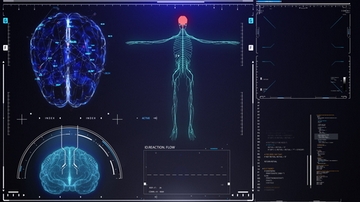 Medical Image Screen