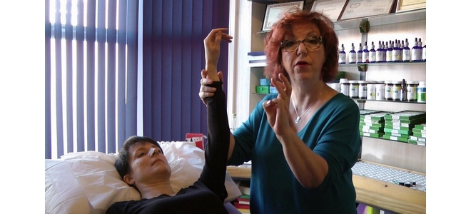 Analogue Muscle Testing (Cyberkinetics) - Training Online