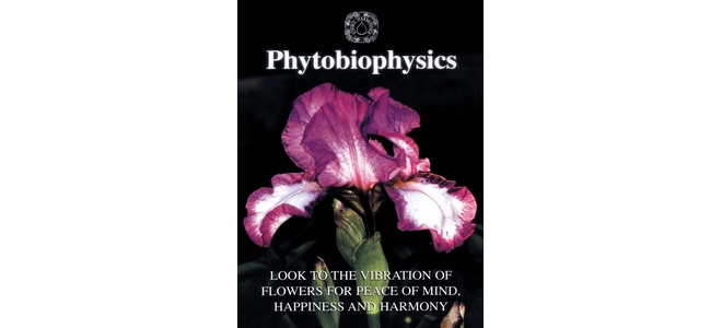 Institute of Phytobiophysics: Introductory Course