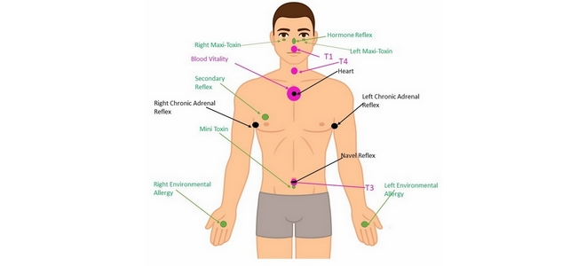 Polarity Reflex Analysis Nutritional Assessment - PRANA (Online Course)