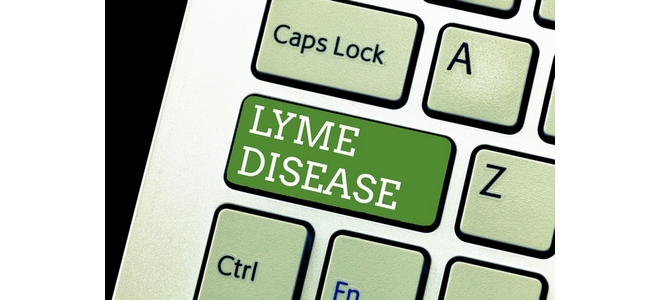 Lyme and Immune Protocols for the Kinesiologist and Muscle Response Tester