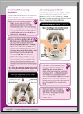 Essential Kinesiology Techniques for Muscle Testing Practitioners