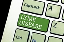 Lyme and Immune Protocols for the Kinesiologist and Muscle Response Tester